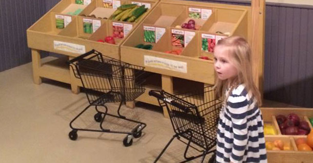 Shopping Carts for the Texas Children's Museum
